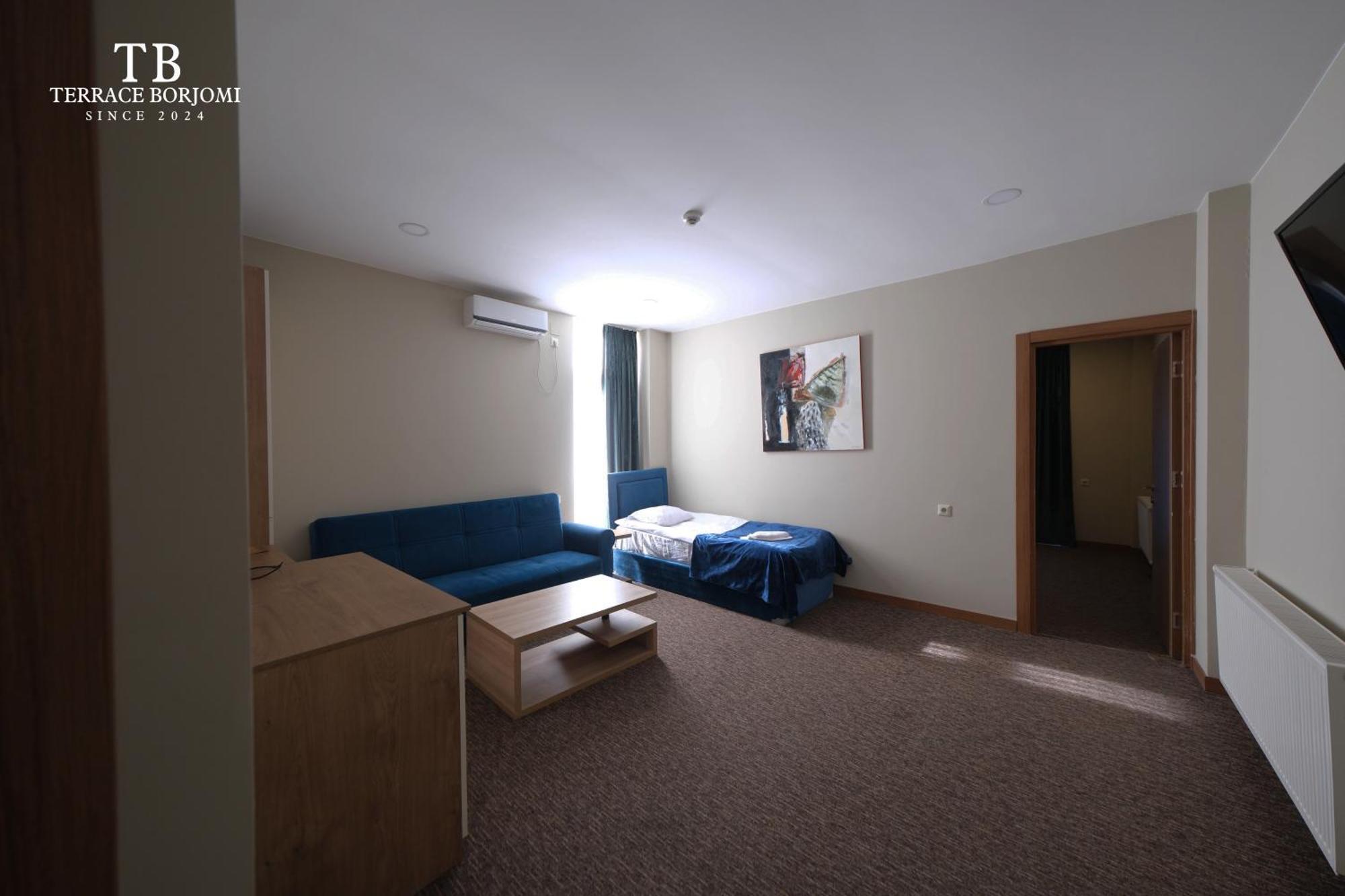 Terrace Borjomi Hotel 外观 照片